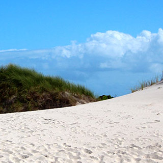 Beaches Beaches