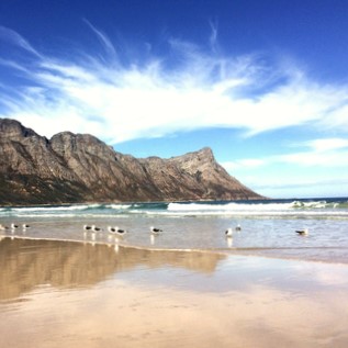 Helderberg Nature Reserve