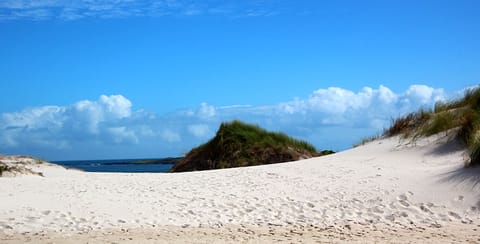 The coast nearby