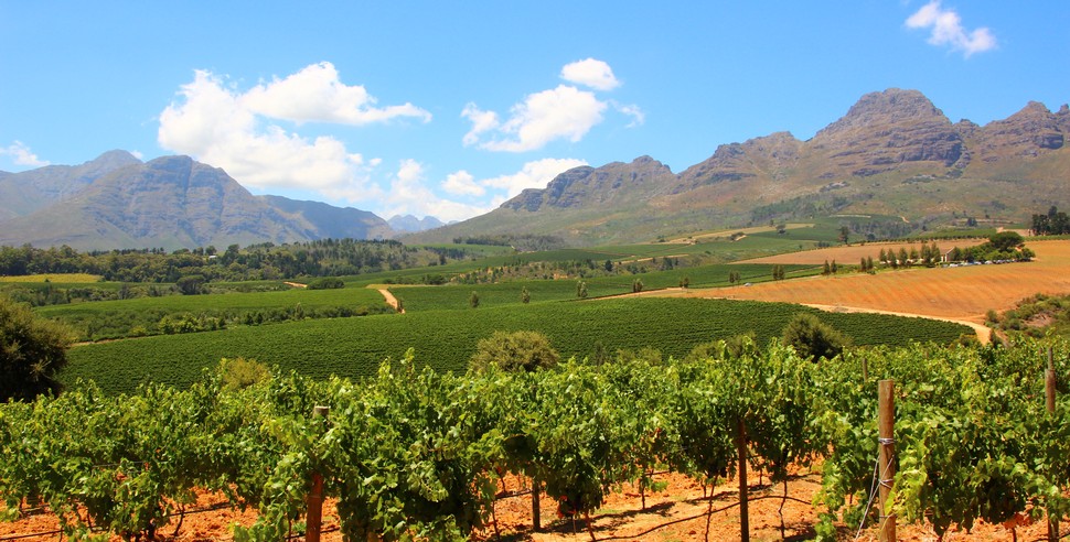 Weinanbauregion Stellenbosch