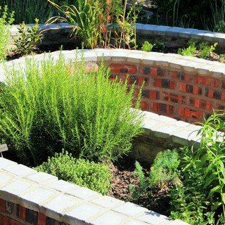 herb garden herb garden