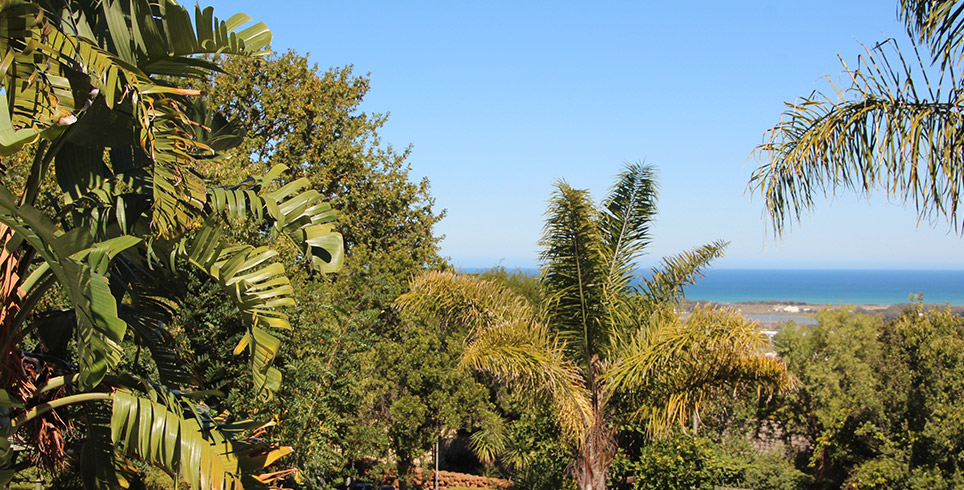 Ausblick zur False Bay