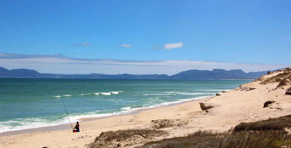 False Bay beach