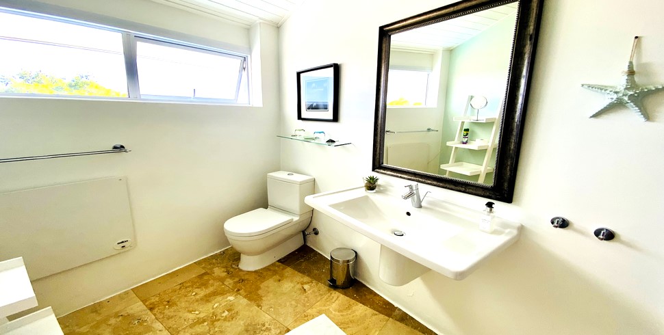 Rhino bathroom
